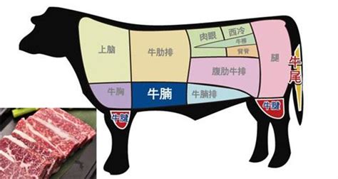 网上买生鲜哪里更靠谱？京东之牛肉篇（内附日本和牛、澳洲牛肉的等级分类） - 知乎