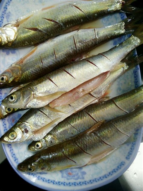 三文鱼价格多少钱一斤，超市最高卖到180元一斤 - 鲜淘网