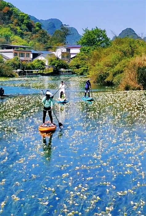 带你去看美丽的风景：桂林永福一条会开花的河--百寿河 - 必经地旅游网