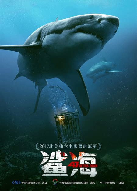 《鲨海逃生》曝暗藏“鲨”机版预告 星二代震撼肉搏大白鲨_电影_高清1080P在线观看平台_腾讯视频