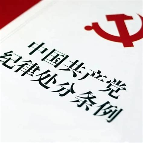 学习中国共产主义青年团纪律处分条例心得-Word模板下载_编号lozryxzm_熊猫办公