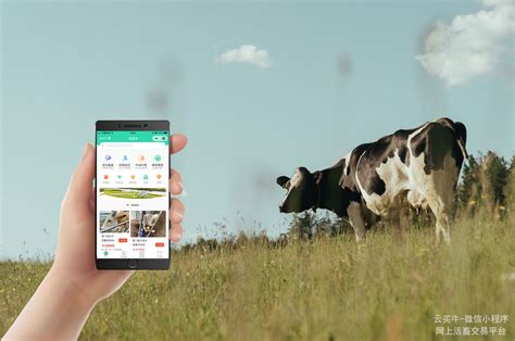 【生猪平台】农牧物联网AI智能牧场整体解决方案专家