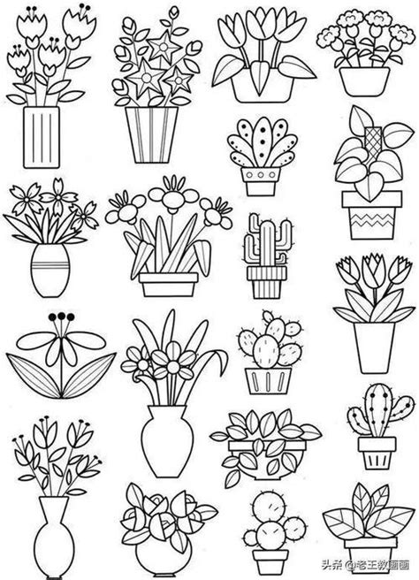 校园常见100种植物简笔画(校园植物简笔画图片大全) | 抖兔教育