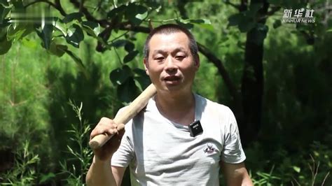 甘肃省气象局|临夏:开展义务植树，助力美丽临夏建设