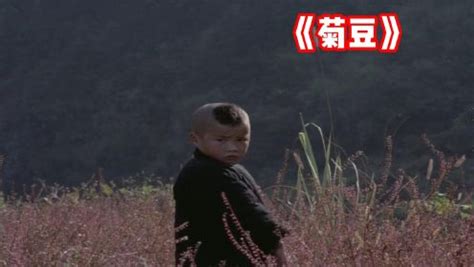 一部饱受争议的国产电影《菊豆》_电影_高清1080P在线观看平台_腾讯视频