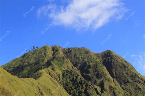 Premium Photo | Green hilltop against blue sky background