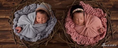 恭喜张雨绮喜获龙凤胎 两位宝宝已满月十分可爱_新浪图片