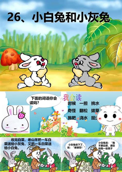 兔子的品种带图介绍,图片,猫的品种图(第9页)_大山谷图库