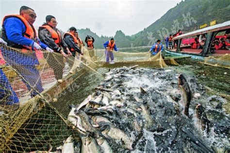 2023福州渔业博览会圆满落幕，签约金额超200亿元-公司新闻-江苏优普保鲜技术有限公司