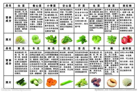 绿色清新卡通蔬菜营养科普小知识营养成分表海报设计图片下载_psd格式素材_熊猫办公