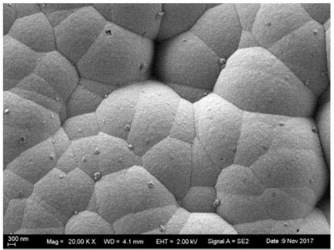 一种利用高温共聚焦显微镜系统实时观察微晶玻璃析晶及晶体生长的方法与流程