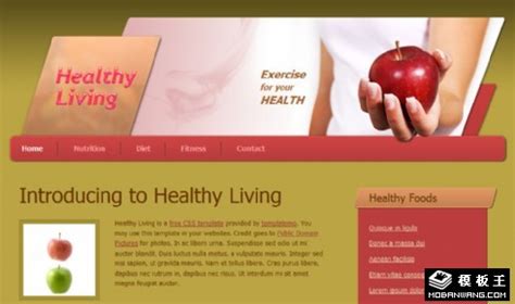 健康网站模板，健康网页模板免费下载 - 第2页 - 模板王