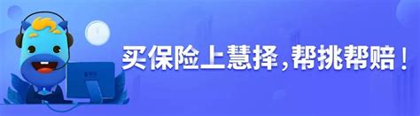 慧择网发布《2017春节旅游保险大数据报告》：上海人风险意识最强_凤凰财经