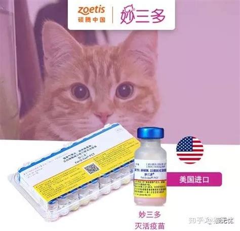 行货保真顺丰美国进口辉瑞硕腾妙三多疫苗幼猫猫三联疫苗预防猫瘟-淘宝网