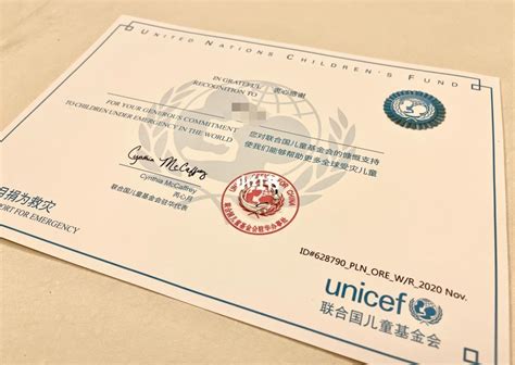 联合国儿童基金会驻中国办事处,保护儿童权利