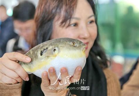 又双叒有人吃河豚中毒！广东省市场监管局发布食品安全风险提示_深圳新闻网