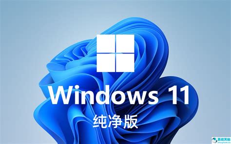 Win11专业版_Win11体验版_windows11系统下载_Win10系统之家
