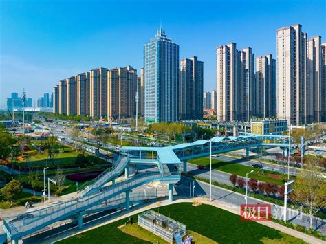 武汉汉阳四新片区Y型天桥 造型设计以树为原型凤凰网湖北_凤凰网