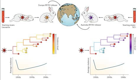 科学网—Nature综述：病毒的跨物种传播和毒力的进化 (6) - 严家新的博文