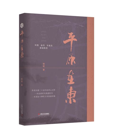 《平原在东》 作者：邹进版本：上海文艺出版社