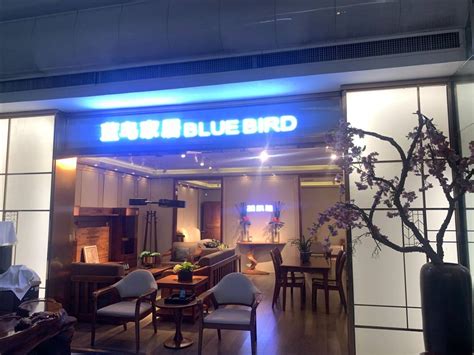 蓝鸟咖啡-休闲娱乐类装修案例-筑龙室内设计论坛