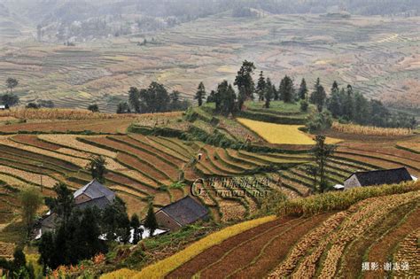 册亨放牛坪的峰林-贵州旅游在线