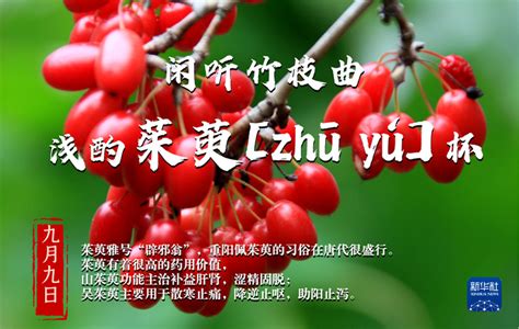 重阳节，为何要“遍插茱萸”？ - 中国民族宗教网