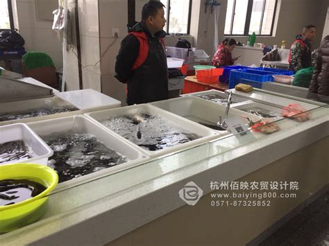 上海水产集团亮相第十四届上海国际渔博会 演绎“健康、优质、创新”主题 - 金报快讯 - 金融投资报