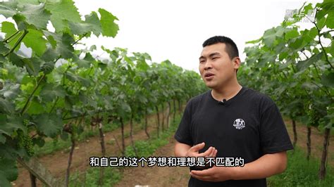 “新农人我们在行动”，屏南县第一个新农人联盟正式诞生_宁德网
