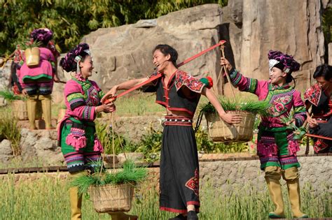 红河非遗 | 祭寨神林：哈尼族古老的生态文化表现 活着的民族文化_文旅头条