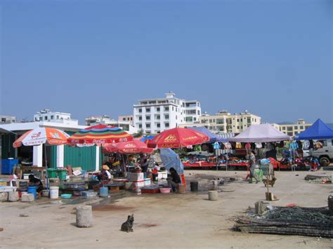 2024红沙码头游玩攻略,红沙码头位于三亚市吉阳区。 ...【去哪儿攻略】