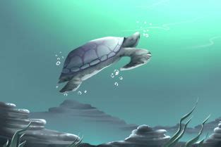女人梦见乌龟在水里什么预兆,周公解梦：梦见吃乌龟是什么意思_77运势