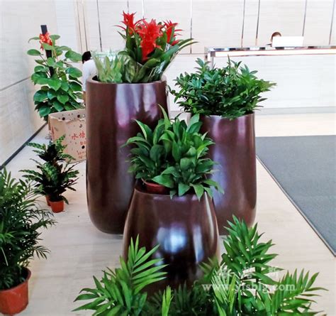 玻璃钢花盆_盆栽玻璃钢花盆 厂家直销批发办公楼种植花器 - 阿里巴巴