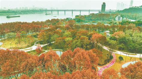 北滨二路江滩公园预计下月底开放_重庆市人民政府网