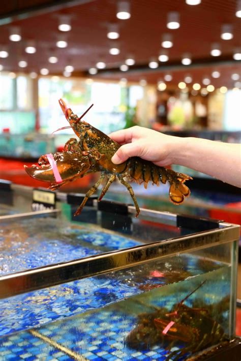 这可能是烟台最霸气的蟹餐厅！帝王蟹、龙虾统统吃到爽！