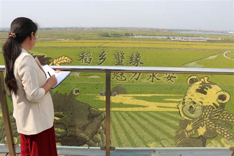 垦利：气象服务助力黄河口大米生产