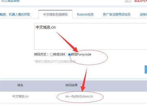 2020中文域名北京倡议_迅速域名查询系统