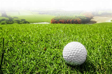 高尔夫球场绿草地上的高尔夫球,球场上的高尔夫球高清图片下载-正版图片300146376-摄图网