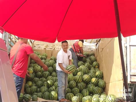 今日沧州市西瓜市场销售价格 西瓜格报价 山东临沂 乐群水果基地-食品商务网