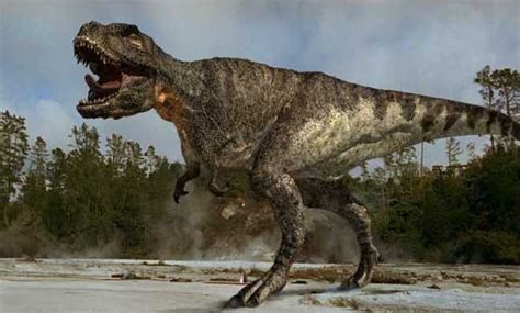 恐龙化石和远古恐龙生存环境高清图片下载_红动中国