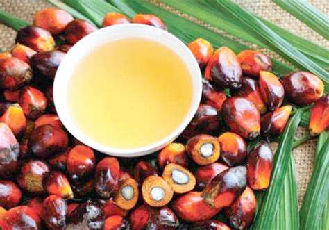 成品分提棕榈液油（24度）（港口油）-粮易达网上商城