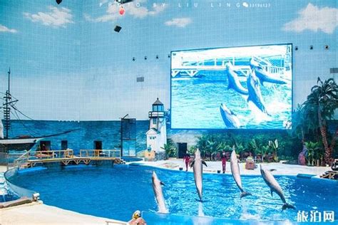 2024天津海昌极地海洋公园游玩攻略-门票价格-景点信息_旅泊网
