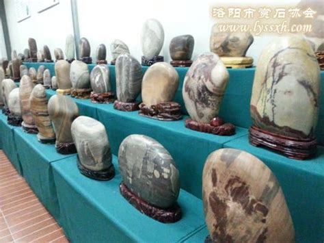 国内第一奇石馆，石都柳州，馆藏精品奇石数千件
