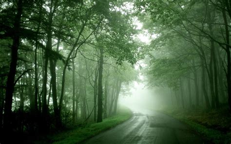 夏天的晨雾又回来了—斗山的早晨|斗山|晨雾|生态环境_新浪新闻