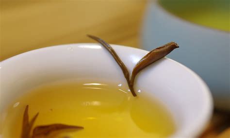 自然之美，东方美人茶的形态。|摄影|人文/纪实摄影|清莲雅集 - 原创作品 - 站酷 (ZCOOL)