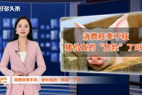 知丘-5、6月份的猪价反弹或受二次育肥的影响再受压制！！！