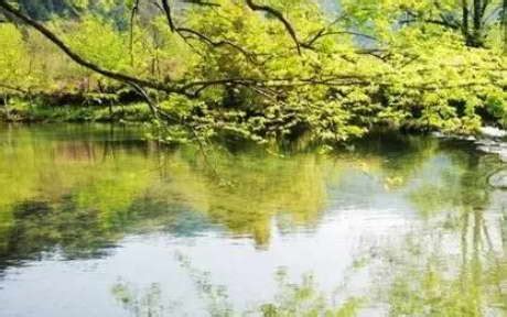 湖边的林芝桃花树高清图片下载-正版图片500828830-摄图网