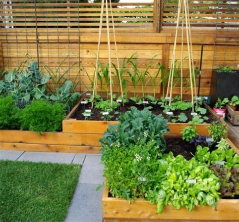 推荐四个简单的别墅菜园设计方案-青岛怡乐花园