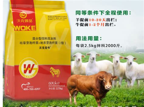 上海探鹿品牌策划——献牛羊，不献脂肪只献鲜_探鹿餐饮咨询策划-站酷ZCOOL