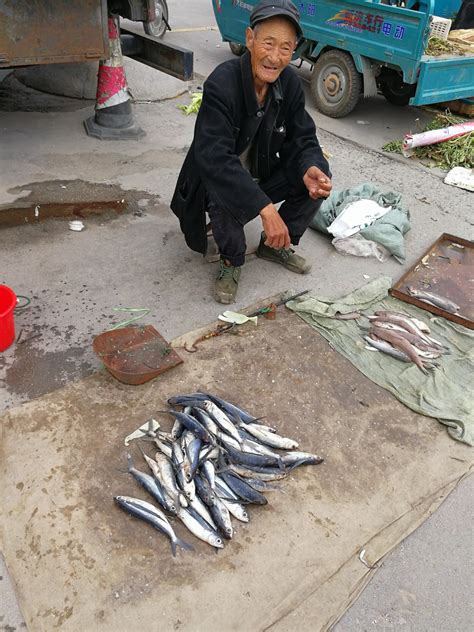 菜市场卖鱼营销技巧,新手卖鱼如何打入市场,要卖自家的鱼怎样推销_大山谷图库
